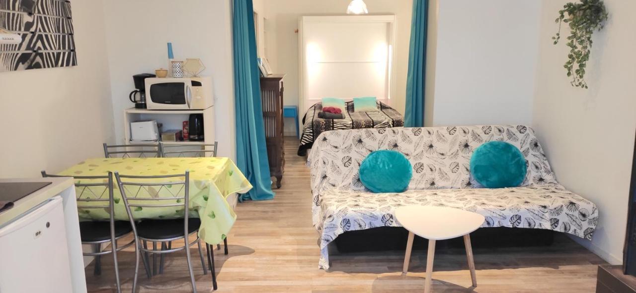 Grand Studio Cahors Centre Rdc Proche Gare Pont Valentre Apartment Exterior photo
